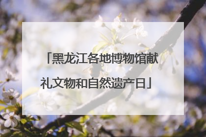 黑龙江各地博物馆献礼文物和自然遗产日