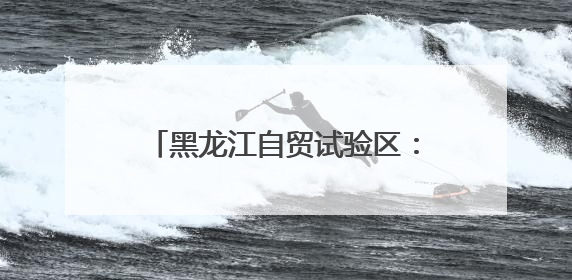 黑龙江自贸试验区：从“创新试验田”向“经济增长极”的质变