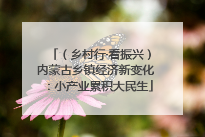 （乡村行·看振兴）内蒙古乡镇经济新变化：小产业累积大民生