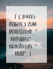 （乡村行·看振兴）吉林辉南荒山变“绿色银行” 绿水青山有“钱景”