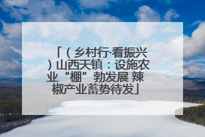 （乡村行·看振兴）山西天镇：设施农业“棚”勃发展 辣椒产业蓄势待发