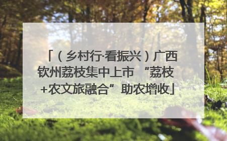 （乡村行·看振兴）广西钦州荔枝集中上市 “荔枝+农文旅融合”助农增收