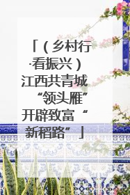 （乡村行·看振兴）江西共青城“领头雁”开辟致富“新稻路”