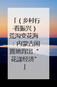 （乡村行·看振兴）荒沟变花海：内蒙古闲置地育出“花漾经济”