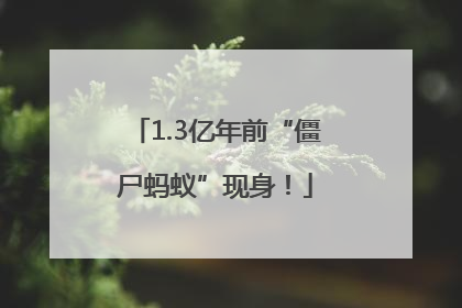 1.3亿年前“僵尸蚂蚁”现身！