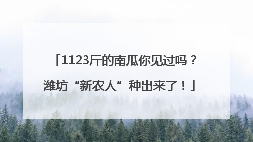 1123斤的南瓜你见过吗？潍坊“新农人”种出来了！