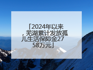 2024年以来，芜湖累计发放孤儿生活保障金2758万元
