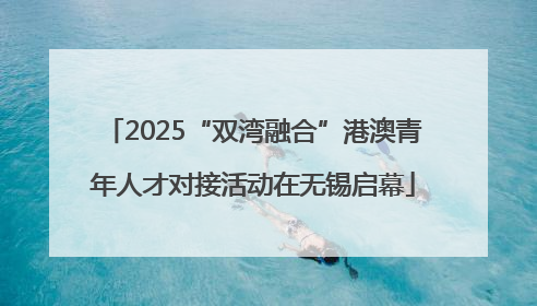 2025“双湾融合”港澳青年人才对接活动在无锡启幕
