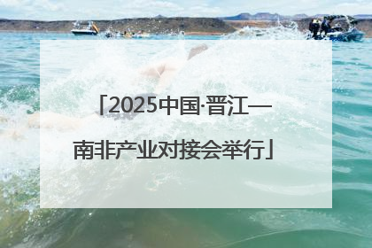2025中国·晋江—南非产业对接会举行