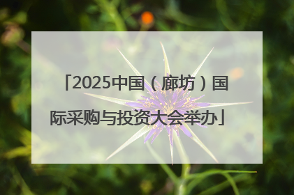 2025中国（廊坊）国际采购与投资大会举办