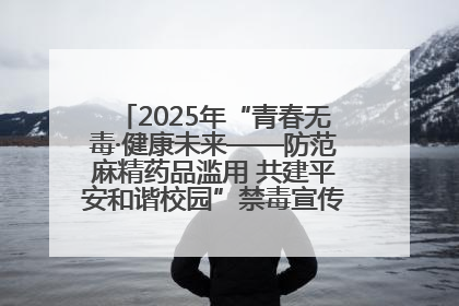 2025年“青春无毒·健康未来——防范麻精药品滥用 共建平安和谐校园”禁毒宣传专题活动在咸宁举行