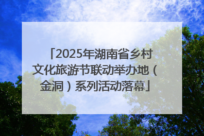 2025年湖南省乡村文化旅游节联动举办地（金洞）系列活动落幕