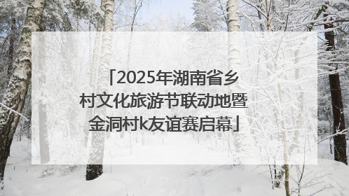 2025年湖南省乡村文化旅游节联动地暨金洞村k友谊赛启幕