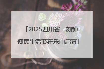2025四川省一刻钟便民生活节在乐山启幕