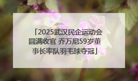 2025武汉民企运动会圆满收官 乔万尼59岁董事长率队羽毛球夺冠