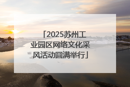 2025苏州工业园区网络文化采风活动圆满举行
