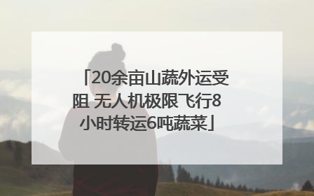 20余亩山蔬外运受阻 无人机极限飞行8小时转运6吨蔬菜