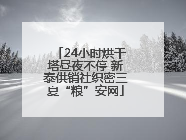 24小时烘干塔昼夜不停 新泰供销社织密三夏“粮”安网