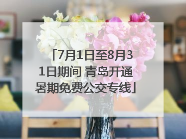 7月1日至8月31日期间 青岛开通暑期免费公交专线