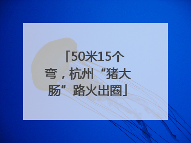 50米15个弯，杭州“猪大肠”路火出圈