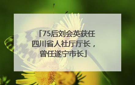75后刘会英获任四川省人社厅厅长，曾任遂宁市长