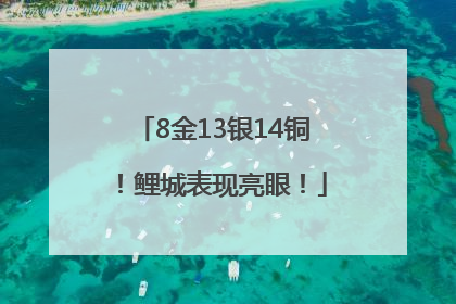 8金13银14铜！鲤城表现亮眼！