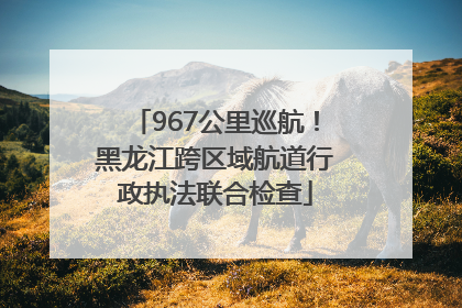 967公里巡航！黑龙江跨区域航道行政执法联合检查