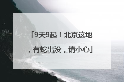 9天9起！北京这地，有蛇出没，请小心