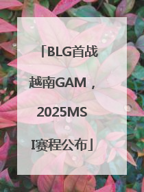 BLG首战越南GAM，2025MSI赛程公布